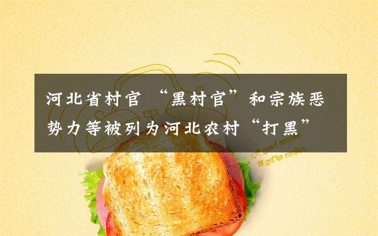 河北省村官 “黑村官”和宗族恶势力等被列为河北农村“打黑”重点