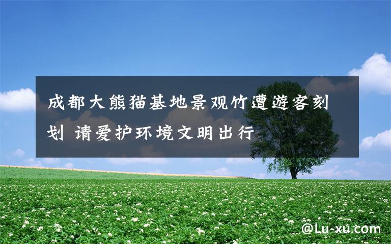 成都大熊猫基地景观竹遭游客刻划 请爱护环境文明出行