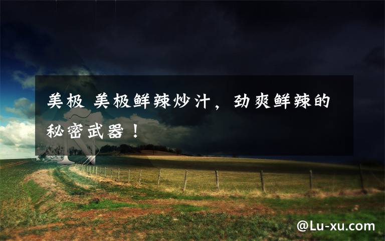 美极 美极鲜辣炒汁,劲爽鲜辣的秘密武器!