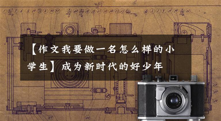 【作文我要做一名怎么样的小学生】成为新时代的好少年