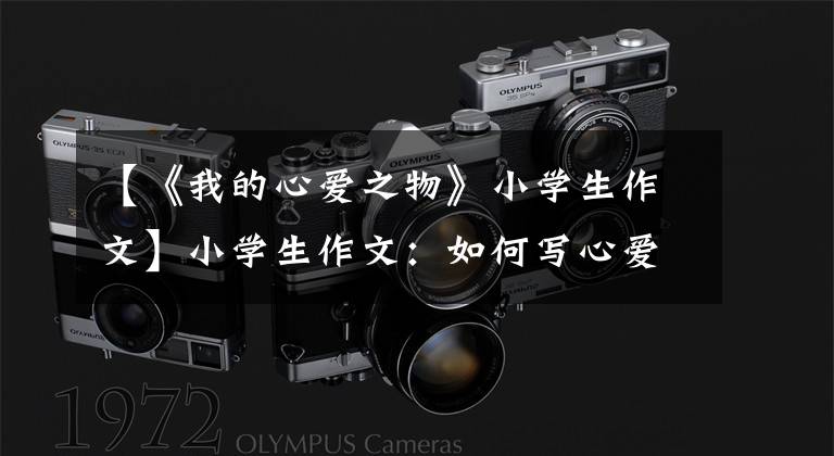 【《我的心爱之物》小学生作文】小学生作文:如何写心爱的东西