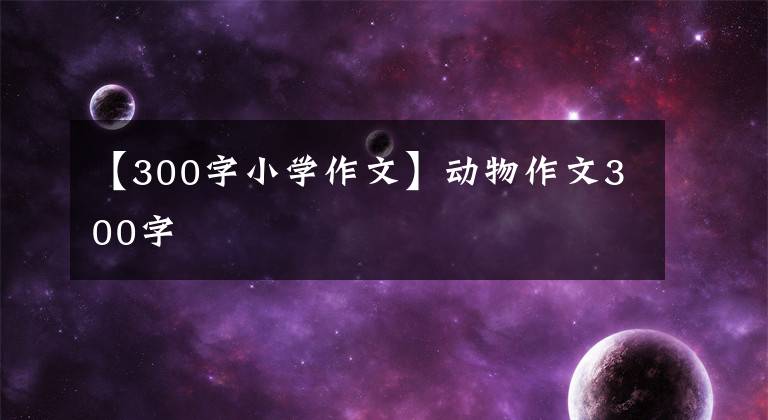 【300字小学作文】动物作文300字