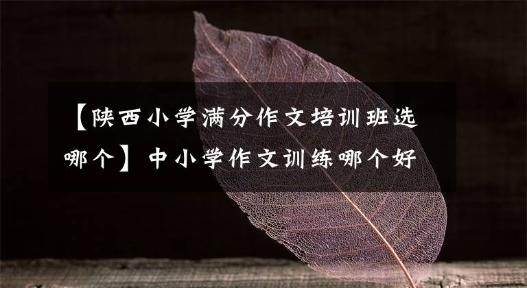 【陕西小学满分作文培训班选哪个】中小学作文训练哪个好?