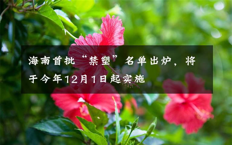 海南首批“禁塑”名单出炉,将于今年12月1日起实施