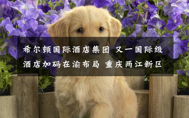 希尔顿国际酒店集团 又一国际级酒店加码在渝布局 重庆两江新区高科希尔顿酒店开业