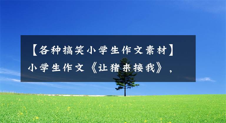 【各种搞笑小学生作文素材】小学生作文《让猪来接我》，全班捧腹大笑。网民：很遗憾不说相声。