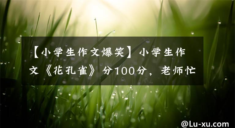 【小学生作文爆笑】小学生作文《花孔雀》分100分,老师忙碌的安慰,网友:看你笑哭。
