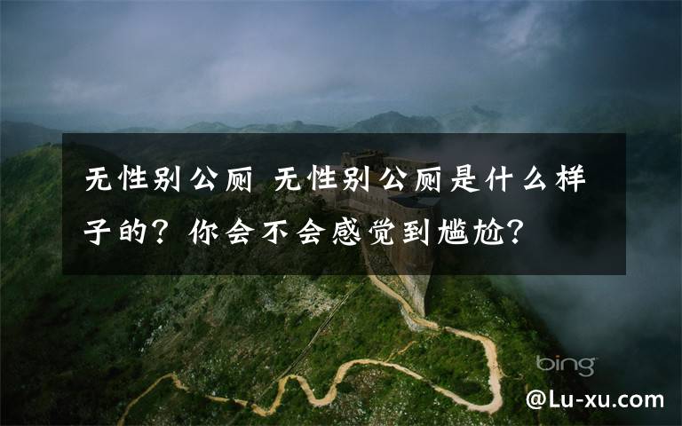 无性别公厕 无性别公厕是什么样子的?你会不会感觉到尴尬?