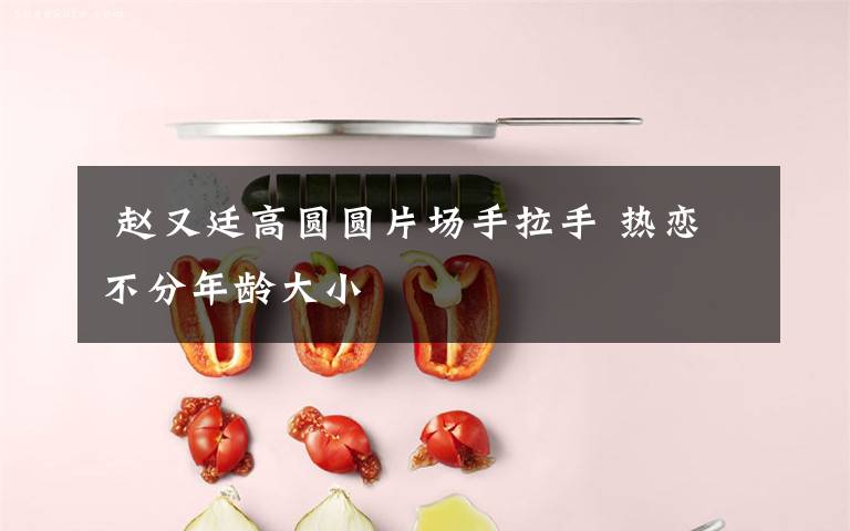 赵又廷高圆圆片场手拉手 热恋不分年龄大小