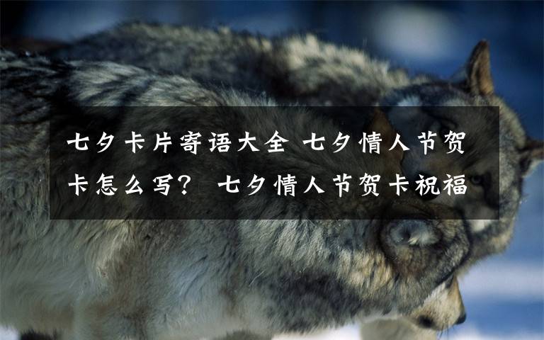 七夕卡片寄语大全 七夕情人节贺卡怎么写? 七夕情人节贺卡祝福语大全