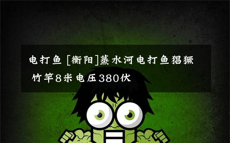 电打鱼 [衡阳]蒸水河电打鱼猖獗 竹竿8米电压380伏