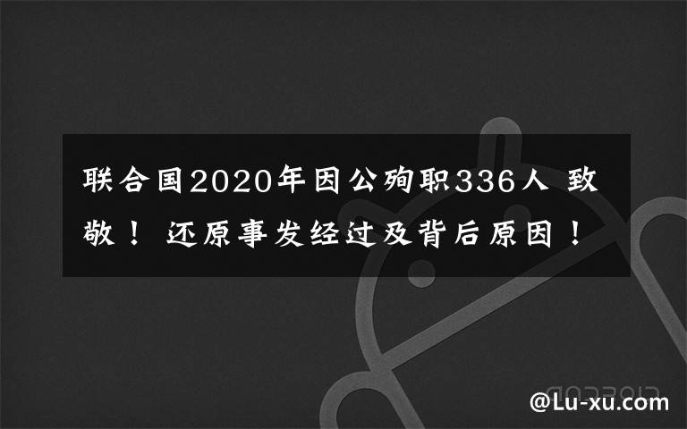 联合国2020年因公殉职336人 致敬! 还原事发经过及背后原因!