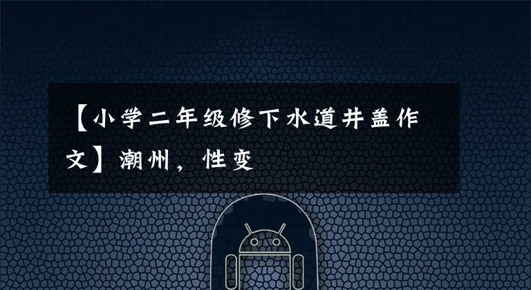 【小学二年级修下水道井盖作文】潮州,性变