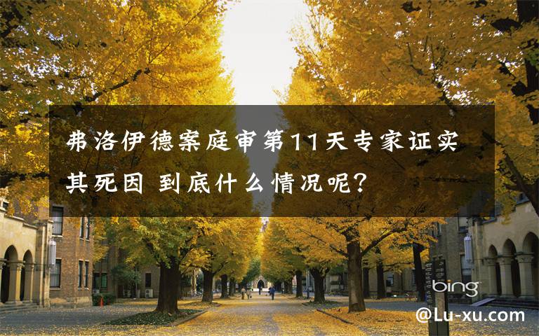 弗洛伊德案庭审第11天专家证实其死因 到底什么情况呢?
