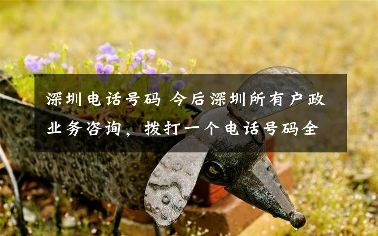 深圳电话号码 今后深圳所有户政业务咨询,拨打一个电话号码全部搞定