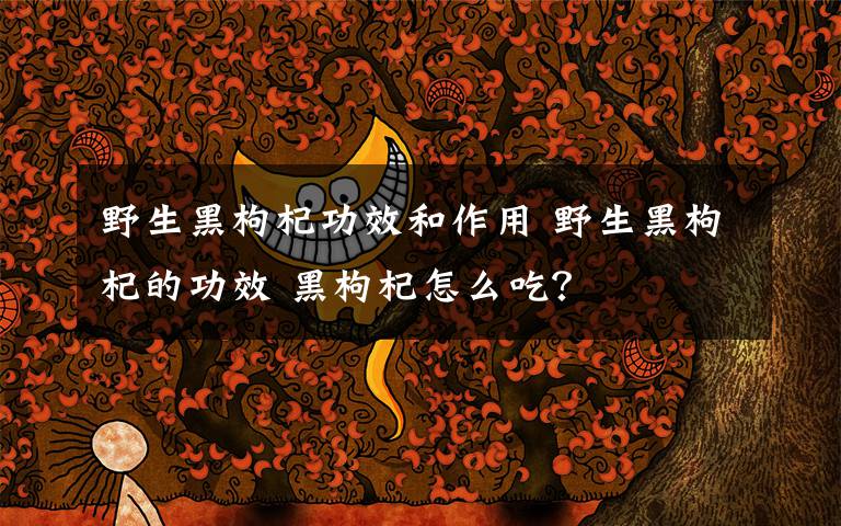 野生黑枸杞功效和作用 野生黑枸杞的功效 黑枸杞怎么吃?