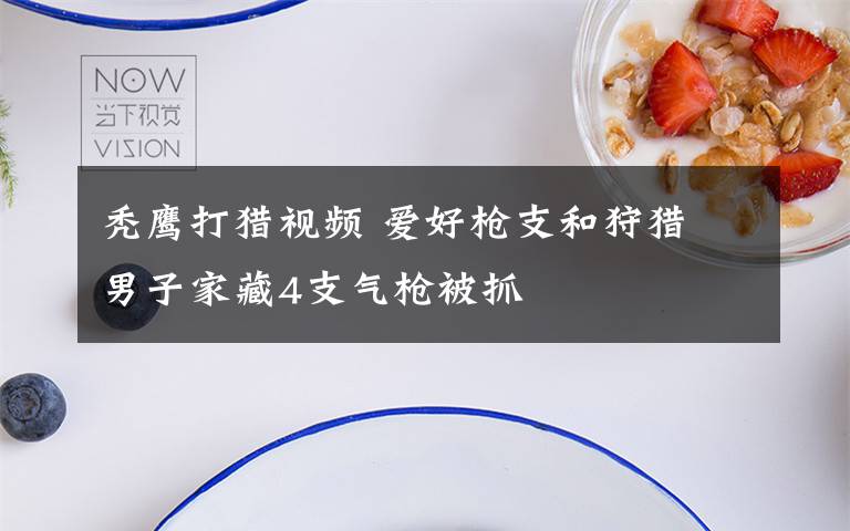 秃鹰打猎视频 爱好枪支和狩猎 男子家藏4支气枪被抓