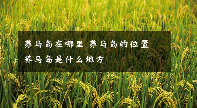 养马岛在哪里 养马岛的位置 养马岛是什么地方