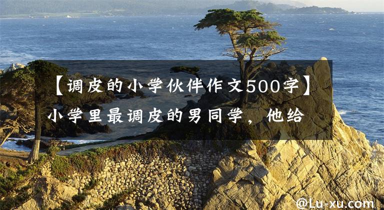 【调皮的小学伙伴作文500字】小学里最调皮的男同学，他给你印象最深的就是那件事