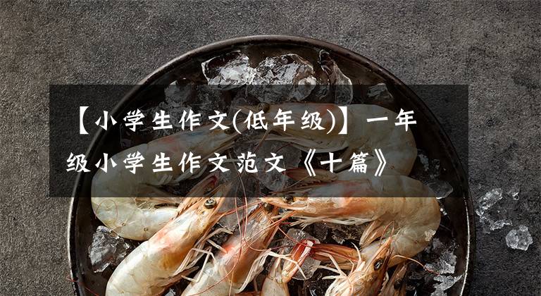【小学生作文(低年级)】一年级小学生作文范文《十篇》