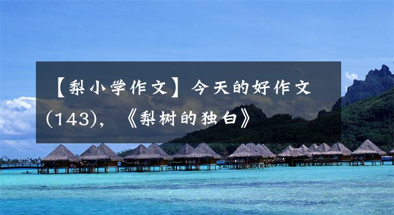 【梨小学作文】今天的好作文(143)，《梨树的独白》