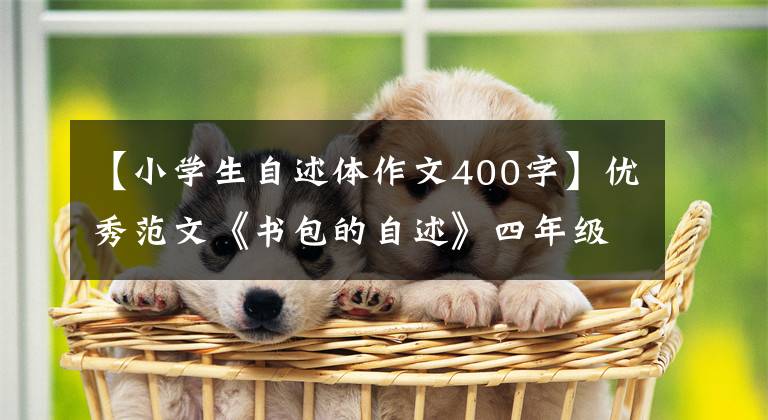 【小学生自述体作文400字】优秀范文《书包的自述》四年级/陈子健