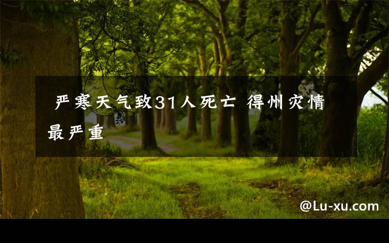严寒天气致31人死亡 得州灾情最严重