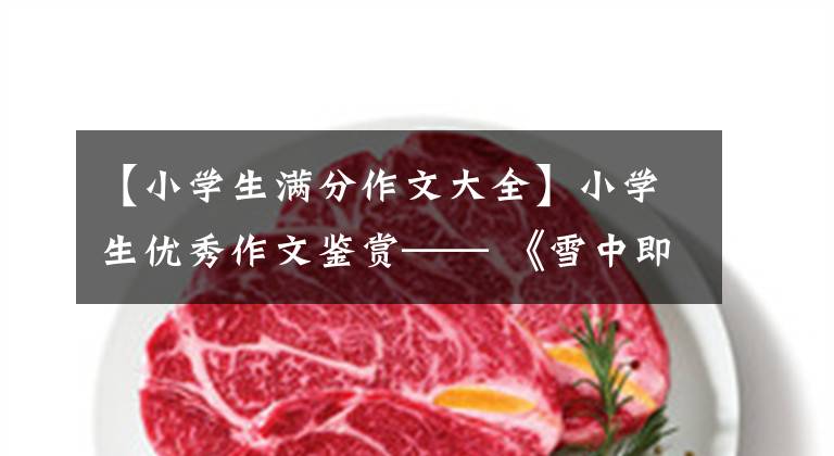 【小学生满分作文大全】小学生优秀作文鉴赏—— 《雪中即景》 《窗外即景》 《冬阳即景》 010-30000