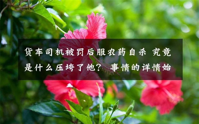 货车司机被罚后服农药自杀 究竟是什么压垮了他? 事情的详情始末是怎么样了!