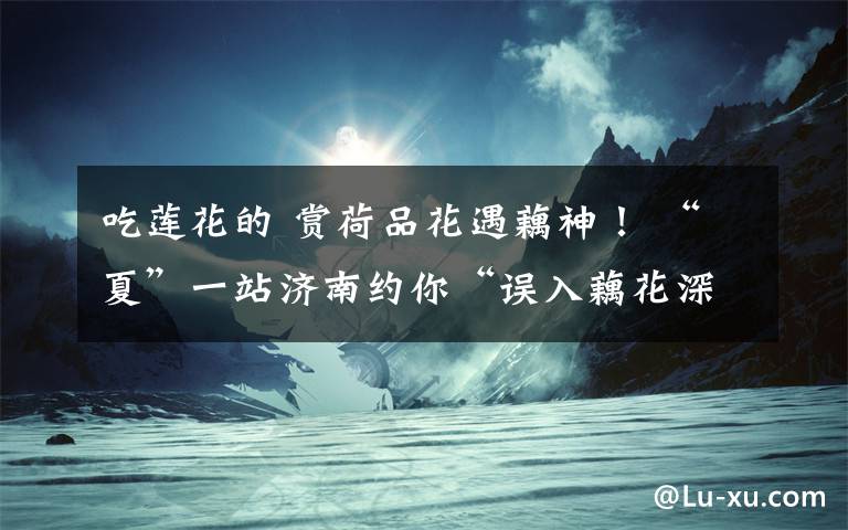 吃莲花的 赏荷品花遇藕神! “夏”一站济南约你“误入藕花深处”