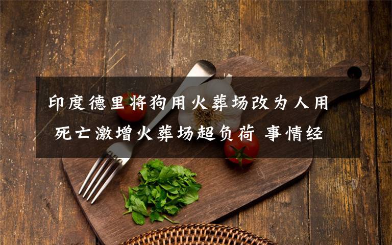 印度德里将狗用火葬场改为人用 死亡激增火葬场超负荷 事情经过真相揭秘!