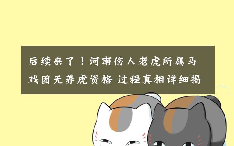 后续来了！河南伤人老虎所属马戏团无养虎资格 过程真相详细揭秘！