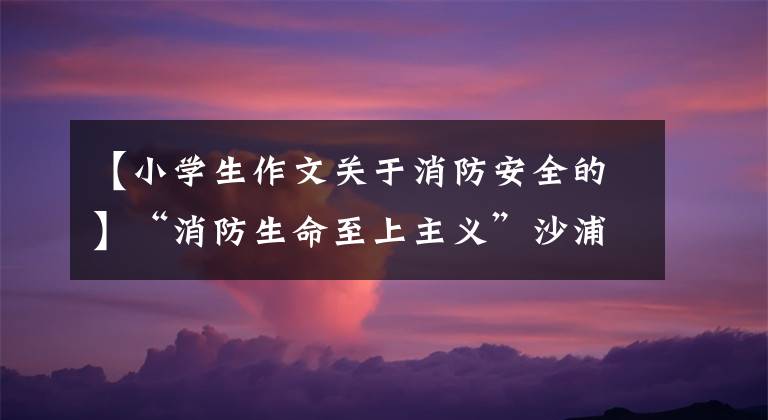 【小学生作文关于消防安全的】“消防生命至上主义”沙浦县第三小学将于11月9日举行全国消防宣传日主题系列活动