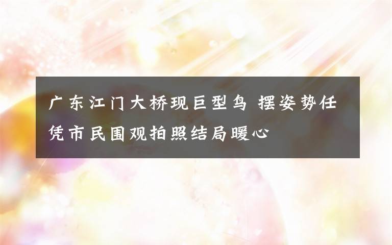 广东江门大桥现巨型鸟 摆姿势任凭市民围观拍照结局暖心