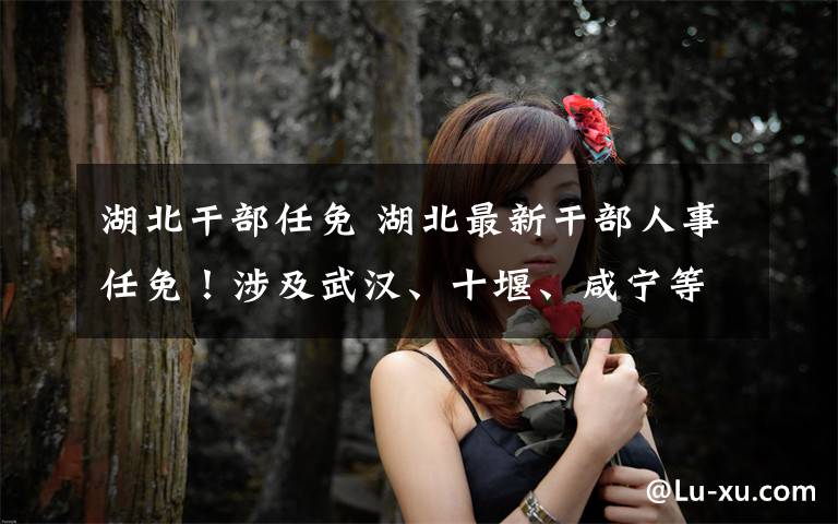 湖北干部任免 湖北最新干部人事任免!涉及武汉、十堰、咸宁等地