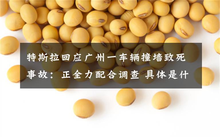 特斯拉回应广州一车辆撞墙致死事故:正全力配合调查 具体是什么情况?