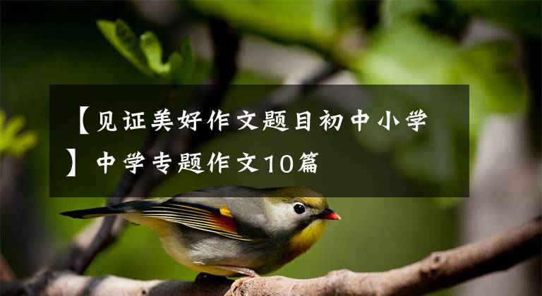 【见证美好作文题目初中小学】中学专题作文10篇