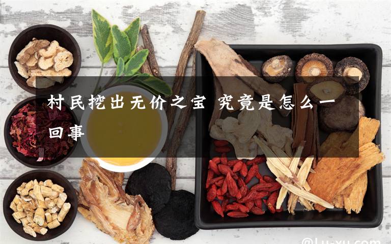 村民挖出无价之宝 究竟是怎么一回事