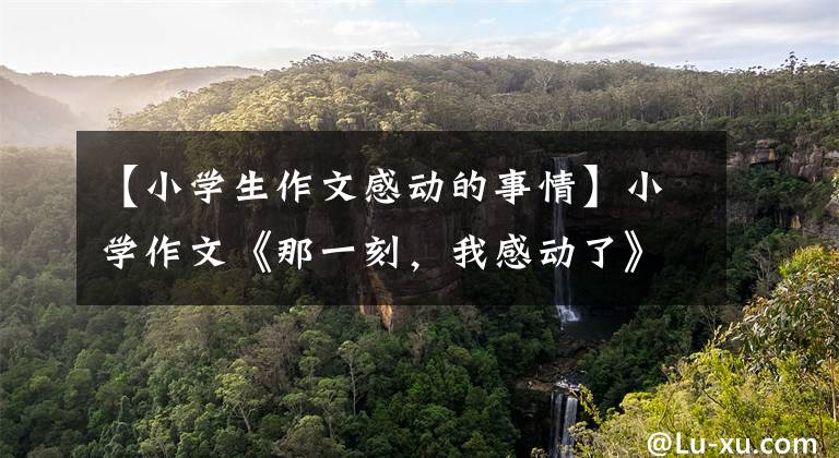 【小学生作文感动的事情】小学作文《那一刻,我感动了》赵正芳