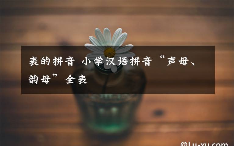 表的拼音 小学汉语拼音“声母、韵母”全表