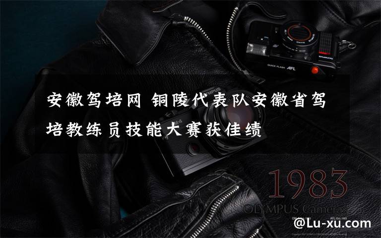 安徽驾培网 铜陵代表队安徽省驾培教练员技能大赛获佳绩