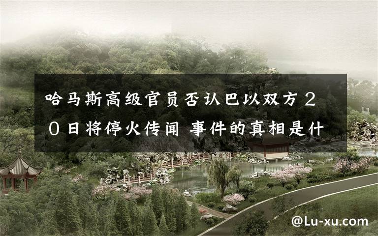 哈马斯高级官员否认巴以双方２０日将停火传闻 事件的真相是什么？