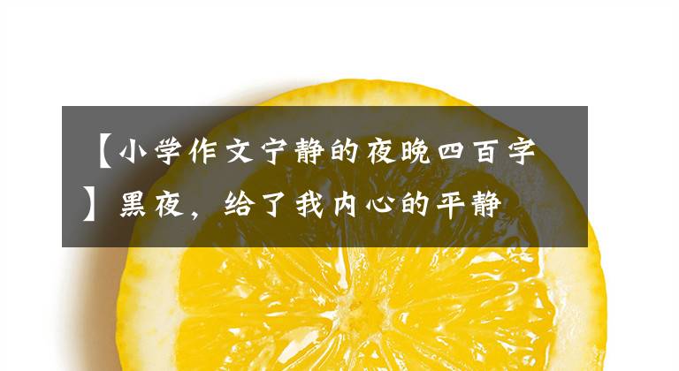 【小学作文宁静的夜晚四百字】黑夜,给了我内心的平静