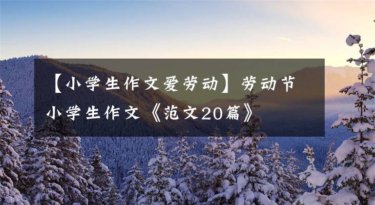 【小学生作文爱劳动】劳动节小学生作文《范文20篇》