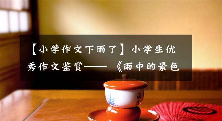 【小学作文下雨了】小学生优秀作文鉴赏—— 《雨中的景色》