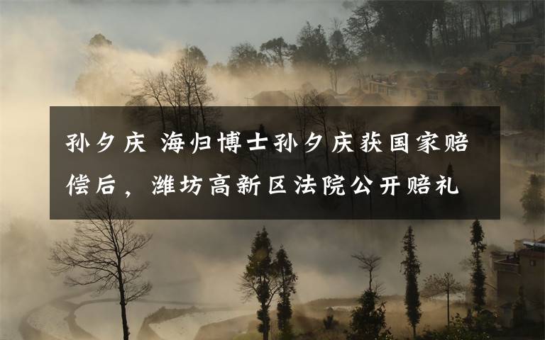 孙夕庆 海归博士孙夕庆获国家赔偿后，潍坊高新区法院公开赔礼道歉