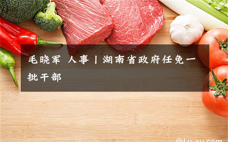 毛晓军 人事丨湖南省政府任免一批干部