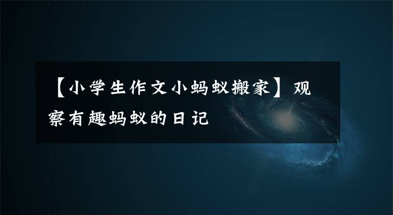 【小学生作文小蚂蚁搬家】观察有趣蚂蚁的日记