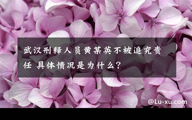 武汉刑释人员黄某英不被追究责任 具体情况是为什么?
