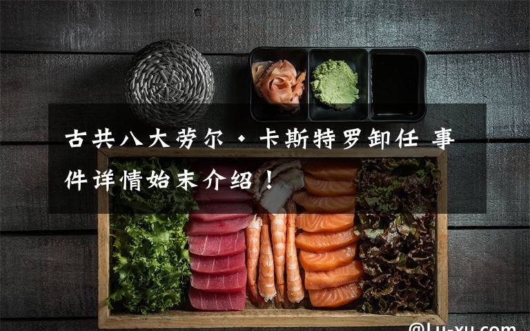 古共八大劳尔·卡斯特罗卸任 事件详情始末介绍！